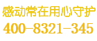 品胜保险柜